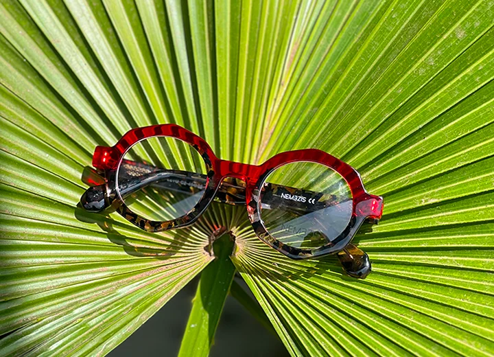 Lunettes de vue style 1