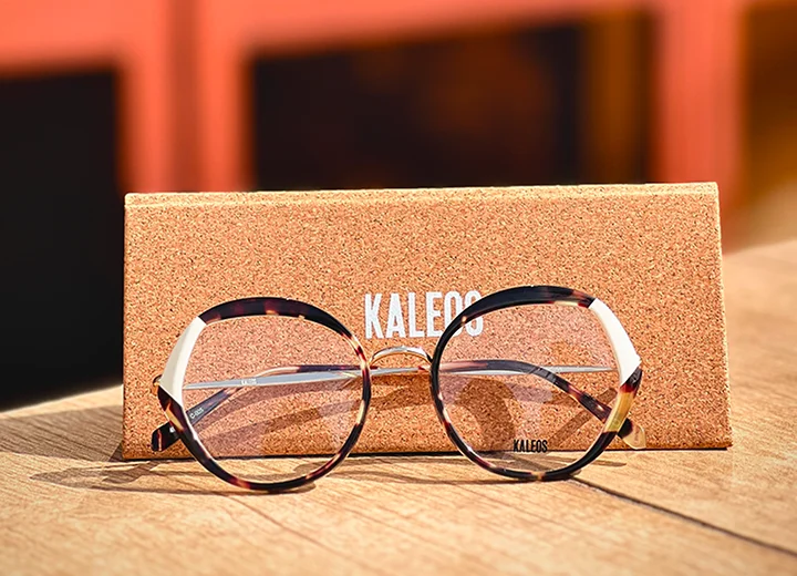 Lunettes de soleil style 2